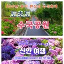 (특별여행 마감) 2025년 6월 1박2일 전남 신안 천사섬(비금도&amp;도초도수국축제&amp;퍼플섬) 이미지