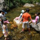 리스캐빈 이미지