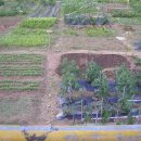 별장농장 이미지