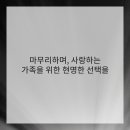 냥이친구 이미지