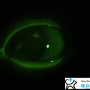 백현 동물병원 이미지