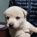 소사2길 이미지