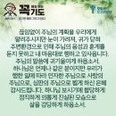 콩깍지