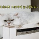 (주)엔퓨텍 - 1717 | (주)엔퓨텍