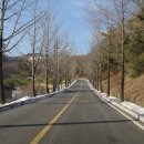 이백지 묘 이미지