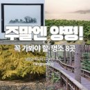 국도21호 은행나무길 | 남한강 드라이브 코스 양평 가볼만한곳 두물머리 안개 일출, 세미원 연꽃, 물소리길, 소나기마을까지