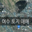 선이네농장 이미지