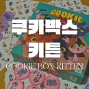 게임박스 | 4인 보드게임 추천) 쿠키박스 키튼 하는 방법 및 후기