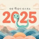 포지 피티 스튜디오 이미지
