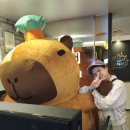 아임싱어코인 노래연습장 화정점 이미지