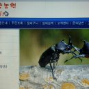 운용농장 이미지