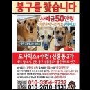 봉구
