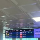 페트리코 제주 | 천국도 제주도