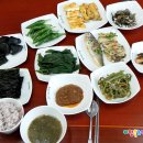 월산펜션 민박 | [스크랩] 서천 신성리갈대밭, 모시떡, 손김 만들기, 마량리 일출 열차 팸투어