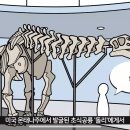 공룡 멸종설에 감기도 있대 ㅋㅋㅋㅋ 이미지