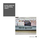 길고양이 대용량 사료 교체기 전연령 사조 케어캣20kg후기(f.길고양이사료 추천
