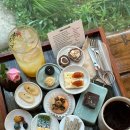 하귤소담 이미지