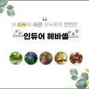 웰니스뷰티 네이버블로그