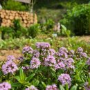 산촌펜션 이미지