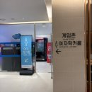 서울온천 | 서울근교에서 즐기는 온천, 이천 ‘테르메덴’ 내돈내산 후기