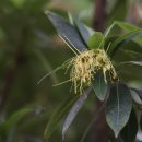 종명랜드 이미지