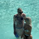 테라피트 이미지