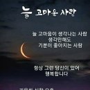 손흥민 해트트릭 - 토트넘 대 에버턴 5-1 -모든 골 및 하이라이트 -2025년 1월 19일 이미지