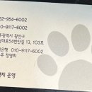 영희와바둑이 애견미용샵 이미지