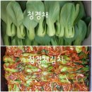 수수료완료얼갈이/청경채/돌산갓/상추/공품포기상추 주문받습니다 이미지