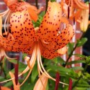 천하유통 이미지