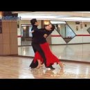 RE:Alena Yefimenko &amp; Dmitry Yefimenko: Tango's Refined Beauty: "댄스스포츠 '모던탱고 이미지