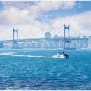 피앤에프글로벌 이미지