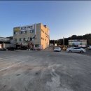 베럴휘트니스 이미지