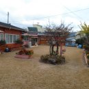 황토그린민박 이미지