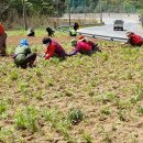 석포면사무소 이미지