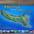 거제중앙초등학교 Daum카페