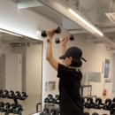 위핏 | [수유헬스장] 위핏헬스 PT 3, 4일차 후기: 상하체 2분할 루틴!
