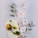 논산시교통약자이동지원센터 이미지