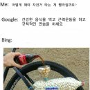 저세상식 검색포털이었던 Bing.jpg 이미지