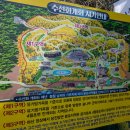 솔나무황토방 | 서산 수선화축제 봄꽃 나들이 유기방가옥 입장료가 쫌...