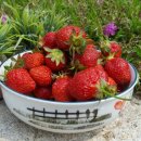 이글농장 이미지