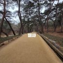 영골 | 경남 가볼만한 곳 - 양산 통도사