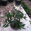 반송농장 이미지