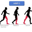 에이치핏(H-FIT)