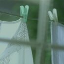 Tamia-Offically Missing you 이미지