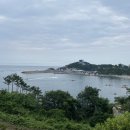 장호오케이펜션 | 삼척 나들이펜션 / 삼남매가 함께한 힐링타임♥