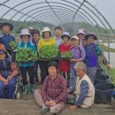 결성면 원천마을회관 이미지