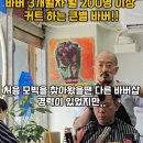 래피드 바버샵