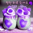 건강과 행복 Daum카페