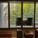 서대문구 천연동 자치회관 2층 두루방 | 연희동 카페 새라울 주차 애견 동반 내돈내산 방문 후기